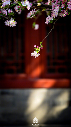 许星纯♡采集到江南烟雨｡:*♡