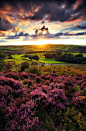 Sunset Moor
Yorkshire, England