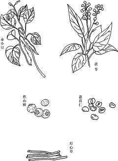 小鸡久久_爱采集到手绘