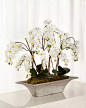 Armature Orchids Faux-Floral Arrangement