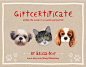 Custom pet portrait, Custom Cat portrait, Gift Certificate, last minute gift, christmas gift, printable gift, gift voucher, cat certificate