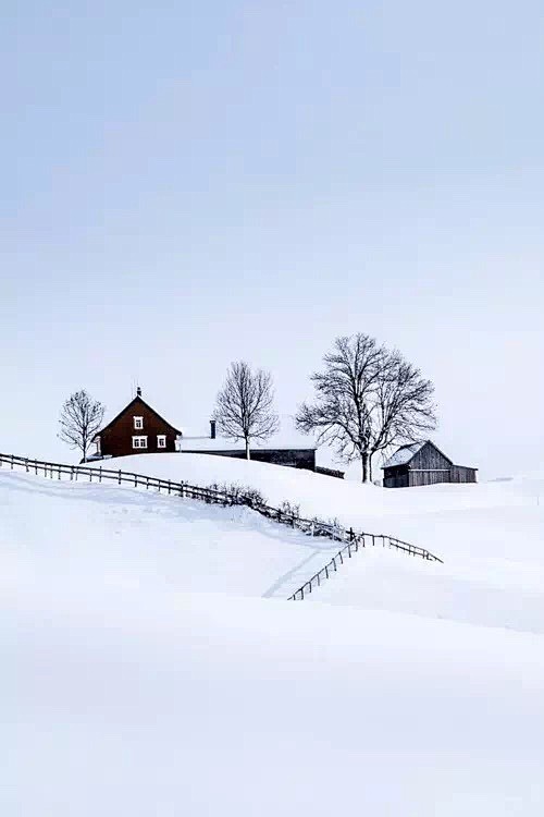 雪景