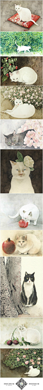 日本插画家山田绿笔下的猫咪 #采集大赛#