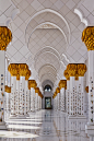 Sheikh Zayed's arches