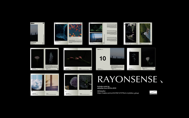 RAYONSENSE