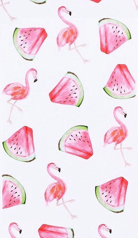 Flamingo watermelon ...