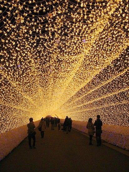 Tunnel of Lights - N...