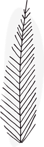 抽象树叶 PNG免抠图
