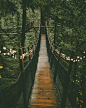 温哥华 Capilano Suspension Bridge Park  吊桥公园 ​​​​