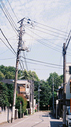 蝉鸣223采集到日式场景