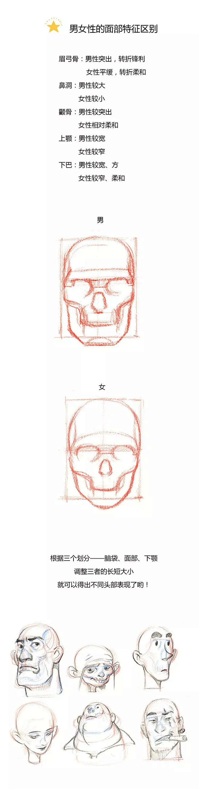 【春哥课堂】头部结构到底怎么画？