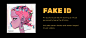 Fake ID audiovisual album : 'Fake ID' is an audiovisual album starring a virtual personality Nana the Shrimp.