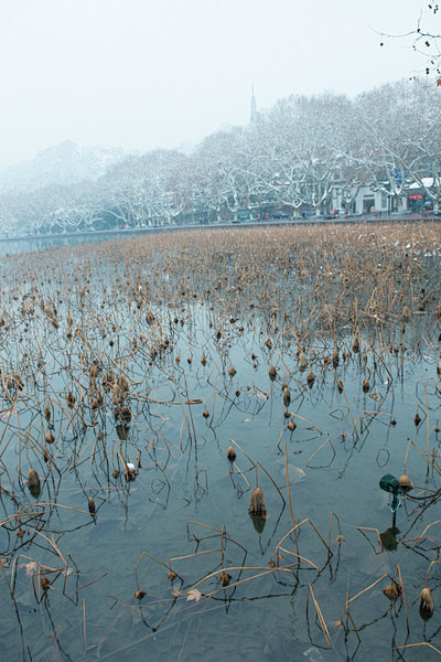 冬日西湖之美，断桥残雪