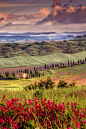 Springtime - Tuscany, Italy