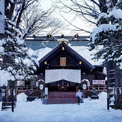 亚里士多德·陈采集到一起去流浪