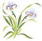 Wispy Iris Flower Wall Stencil