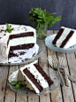 Mint Chocolate Chip Ice Cream Cake