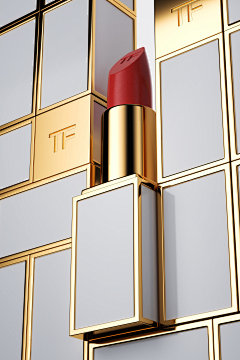 小呆呆咿呀呦采集到品牌 | TOM FORD