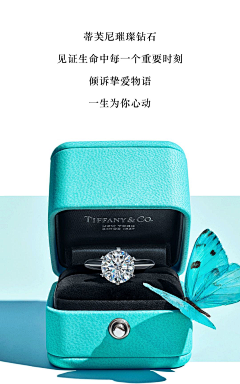 Jo乔采集到蒂芙尼(Tiffany&Co)(1837年美国纽约)