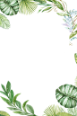 手绘植物 插画 边框 png