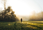 hazy morning : Landscape and nature photography of a foggy yet sunny autumn morning near my hometown Ulm in southern Germany.