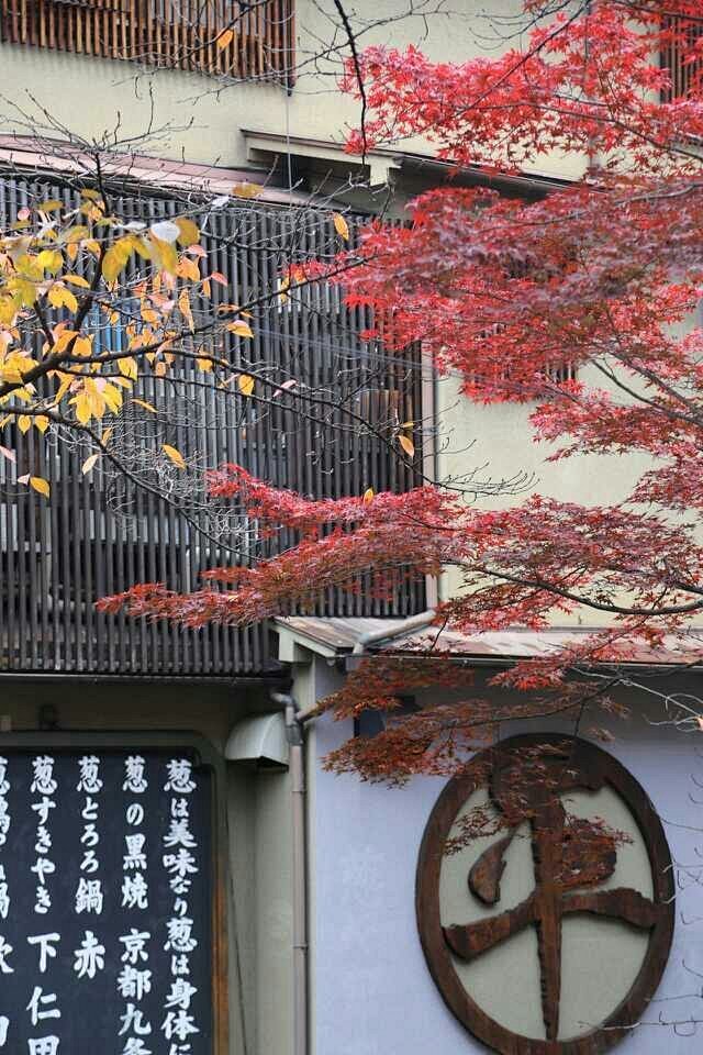 今天到京都，这次住在鸭川边，祗园里的温泉...