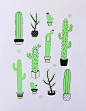 "Cactus" Screen print : screen print limited edition in two inks