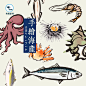 手绘水彩毛笔风海鲜海产海参螃蟹龙虾鱿鱼海蛎扇贝水墨包装素材