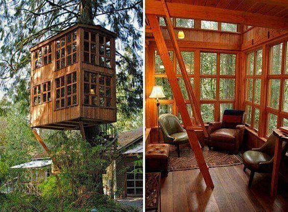 Elegant tree house