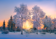 -瑞雪兆丰年-采集到照片素材一一雪景，冰