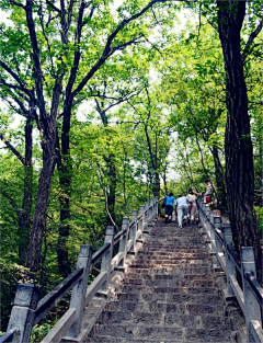 Icecreamym采集到初秋云台山自助游：烟