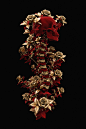 Billelis_Skeleton_Rose_tatt00_3D_Illustration