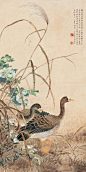 鸟语花香国画作品欣赏