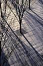 PWP landscape Saitama Sky Forest plaza