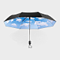 预订美国 moma正品sky umbrella晴天白云折叠雨伞