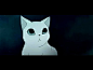 动画短片《八尾猫》_在线视频观看_土豆网视频 八尾猫 