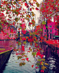 秋天的世界，黄得似金、红得似火，美得就像一幅浓墨重彩的风景画……<br/>奥地利哈尔施塔特镇(Hallstatt)<br/>比利时布鲁日(Brugge)<br/> 波兰格但斯克（Gdansk）<br/> 法国巴黎<br/> 荷兰阿姆斯特丹(Amsterdam)<br/> 捷克罗兹伯克那瓦塔（Rožmberk nad Vltavou）<br/> 捷克十六湖国家公园（Plitvice Lakes National Park）&
