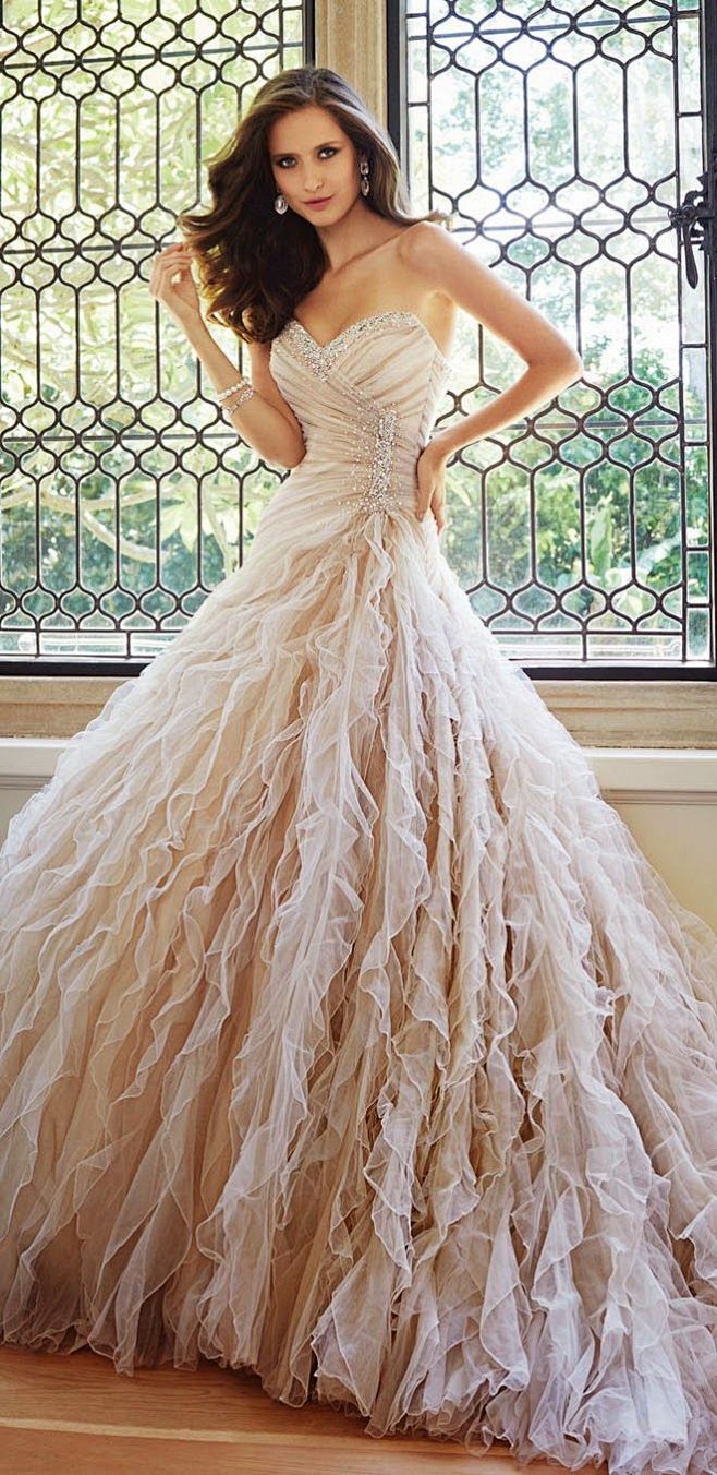 Sophia Tolli Fall 20...