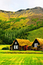 [在路上——草棚屋顶] 这就像一幅童话场景，作为一个北欧国家，冰岛真的是好冷，但是冰岛不下雪的时候，特别特别美，寒带草原，还有屋子上的草坪，从不缺乏创意！——来自冰岛的乡间小别墅