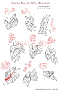 #SAI资源库# 动漫鸟类的绘画参考，手臂姿势参考翅膀动作！自己借鉴，转需~