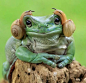 Princess Leia...: