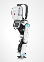 Red Dot Design Award for Design Concepts : Bilateral Exoskeletonal Assistive Robot (BEAR)