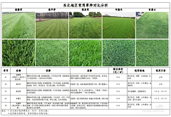 FEILIAN采集到M 植物品种