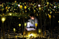 给人类带来更多的美好大概就是艺术家的社会职责所在吧，英国艺术家Bruce Munro用5000只灯泡在巴斯的尔本博物馆种下了这令人魂牵梦绕的灯光花园，阿凡达的精灵世界仿佛又呈现在了我们的面前。
