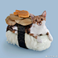 猫+寿司=Nekozushi。喵星人盛装打扮放在寿司上，日本人的脑洞真的大。但是这也太可爱了吧