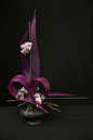 1st place and Colleen Fernie Trophy, Sharon Benton, Hibiscus Coast Floral Art Club