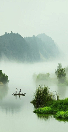 曙荆采集到风景·花