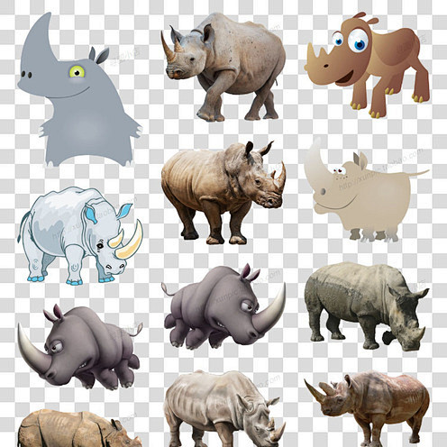 犀牛亚洲犀牛黑犀牛印度犀牛动物