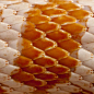 爬行动物鳞片之美：鲜艳蛇鳞启发早期艺术