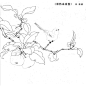 宋人工笔白描，赶紧收藏